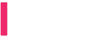 Company Hero